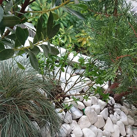 3 Petits Princes * Aix-les-Bains