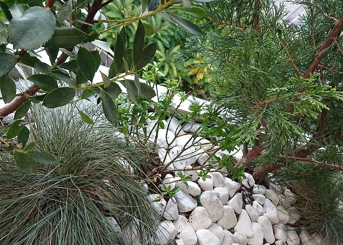 3 Petits Princes * Aix-les-Bains